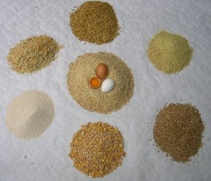 Bild:Futtermittel:Weizen , Mais, Sojabohnen, Erbsen, Hafer,Mineralstoffe